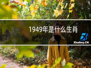 1949年是什么生肖配对（1949年是什么生肖）