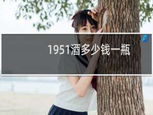 1951酒多少钱一瓶:酉风1951