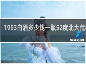 1953白酒多少钱一瓶52度北大荒往事