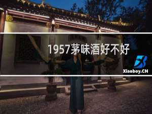 1957茅味酒好不好