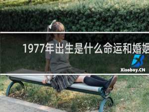 1977年出生是什么命运和婚姻