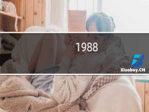 1988/11/8