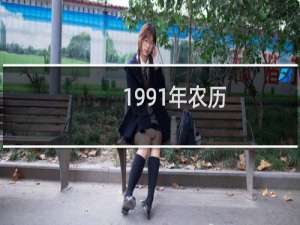 1991年农历