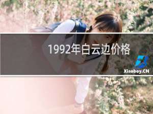 1992年白云边价格