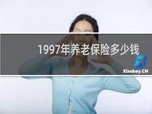 1997年养老保险多少钱