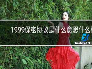 1999保密协议是什么意思什么梗