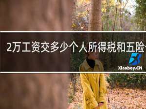 2万工资交多少个人所得税和五险一金