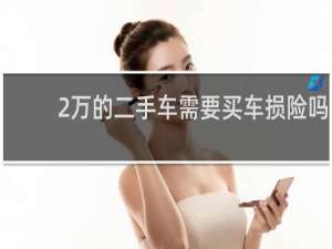 2万的二手车需要买车损险吗