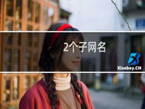 2个子网名