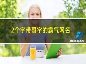 2个字带哥字的霸气网名