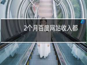 2个月百度网站收入都没办法收入了