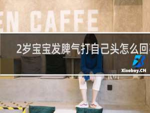 2岁宝宝发脾气打自己头怎么回事