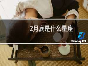 2月底是什么星座