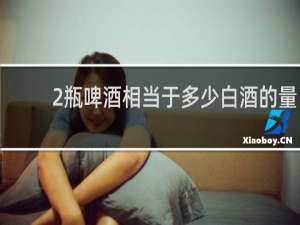 2瓶啤酒相当于多少白酒的量