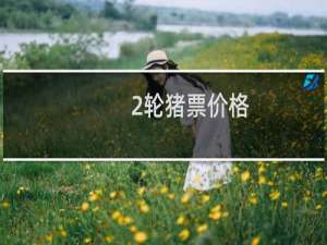 2轮猪票价格