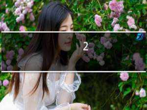 2.1铁核三花多少钱