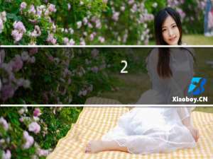 2.3原神新地图怎么去