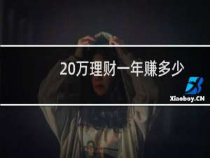 20万理财一年赚多少