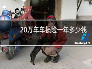 20万车车损险一年多少钱