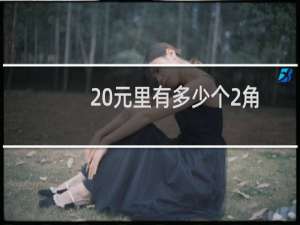 20元里有多少个2角