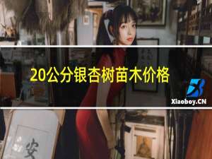 20公分银杏树苗木价格