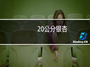 20公分银杏