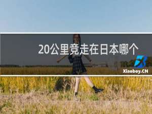 20公里竞走在日本哪个城市