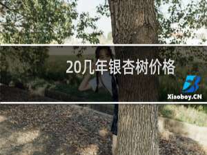 20几年银杏树价格