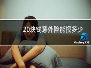 20块钱意外险能报多少