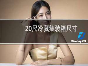 20尺冷藏集装箱尺寸