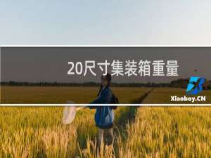 20尺寸集装箱重量