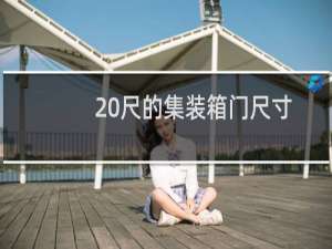 20尺的集装箱门尺寸