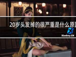 20岁头发掉的很严重是什么原因