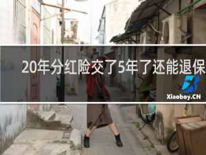 20年分红险交了5年了还能退保吗