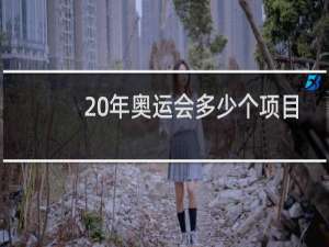 20年奥运会多少个项目
