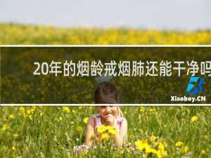 20年的烟龄戒烟肺还能干净吗