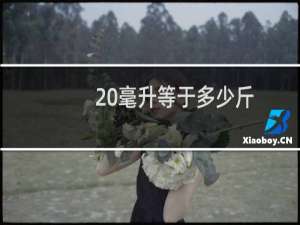 20毫升等于多少斤