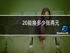 20能换多少张两元