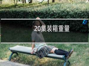 20集装箱重量