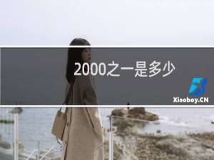 2000之一是多少