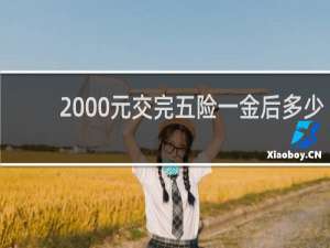 2000元交完五险一金后多少