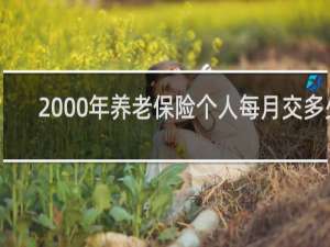 2000年养老保险个人每月交多少