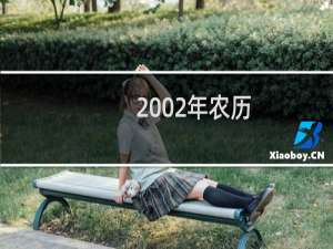 2002年农历