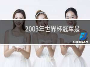 2003年世界杯冠军是谁