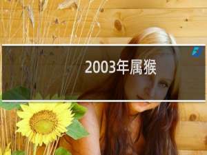 2003年属猴