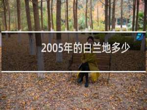 2005年的白兰地多少一瓶