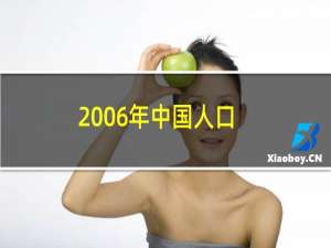 2006年中国人口