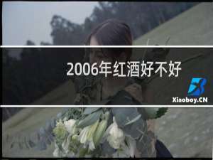 2006年红酒好不好