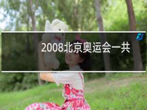 2008北京奥运会一共有多少金牌