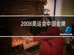 2008奥运会中国金牌数是多少